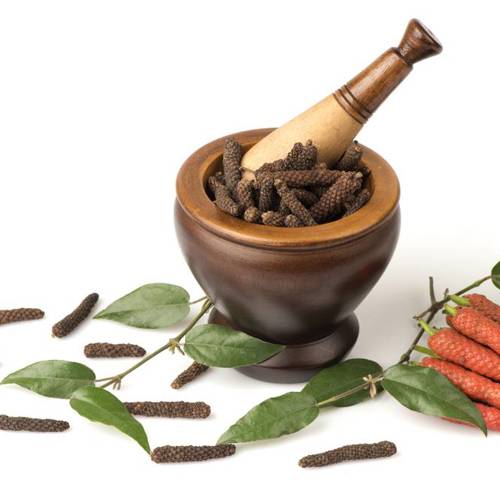 Bi Ba (Long peppers) plant