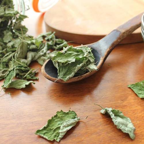 Bo He (Wild mint) as TCM ingredient