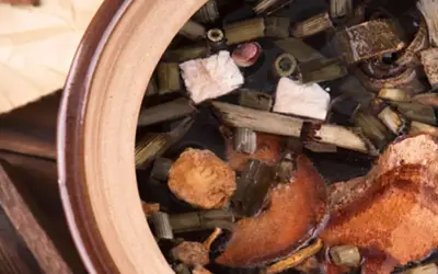 Different forms of TCM formulas and herbs: decoctions, pills, powders, plasters, ointments, syrups, and granules