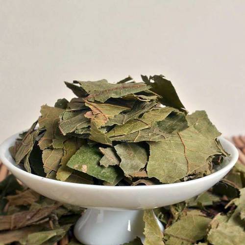 Bu Zha Ye (Shiral leaves) as TCM ingredient