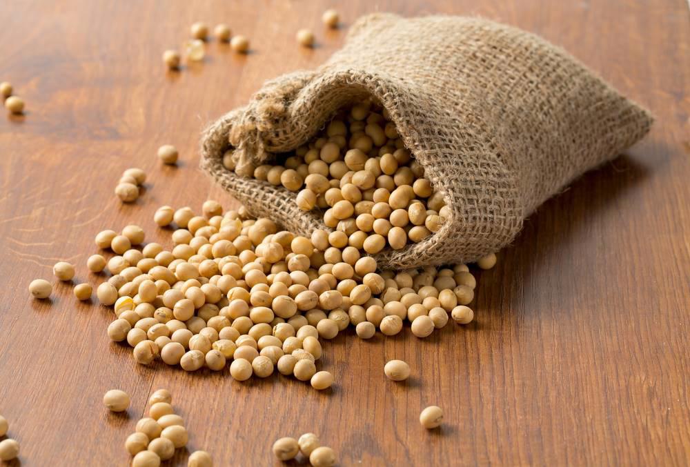 Dan Dou Chi (Fermented soybeans) plant