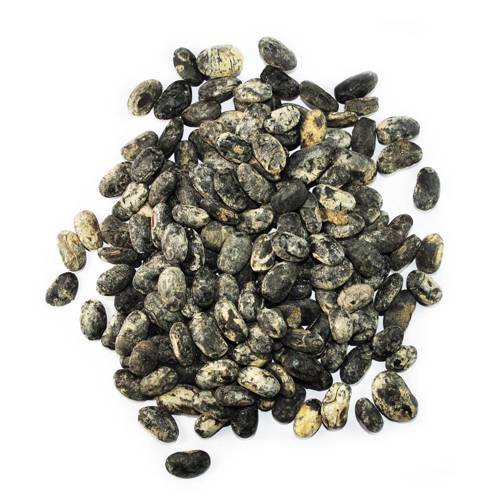 Dan Dou Chi (Fermented soybeans) as TCM ingredient