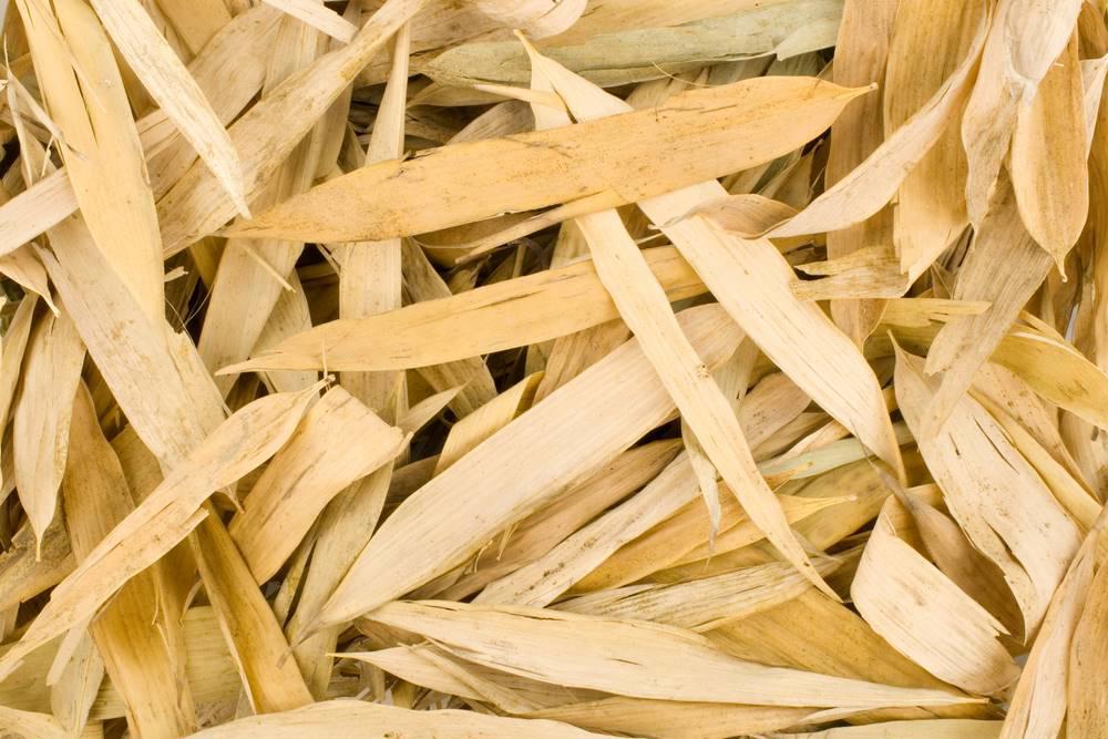 Dan Zhu Ye (Lophatherum herbs) as TCM ingredient