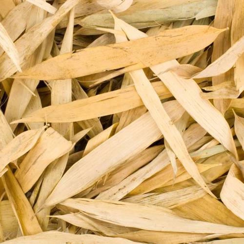 Dan Zhu Ye (Lophatherum herbs) as TCM ingredient