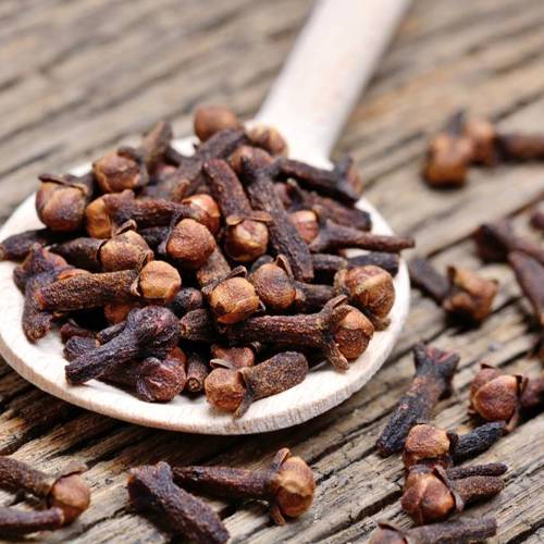 Ding Xiang (Cloves) plant