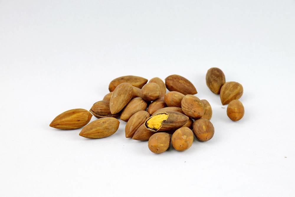 Fei Zi (Chinese nutmeg yews) as TCM ingredient