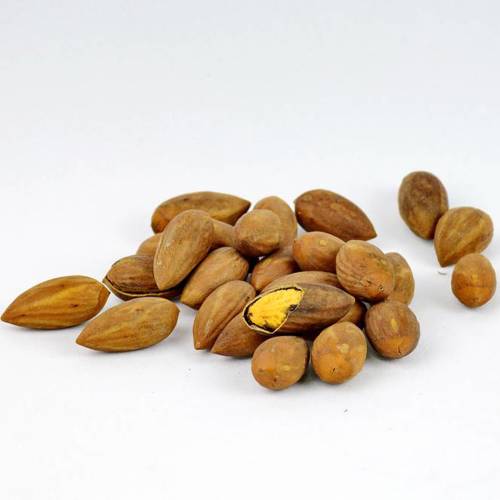 Fei Zi (Chinese nutmeg yews) as TCM ingredient