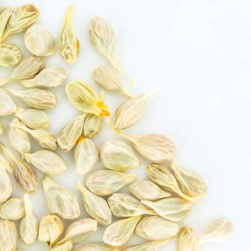 Ju He (Bitter orange seeds) as TCM ingredient