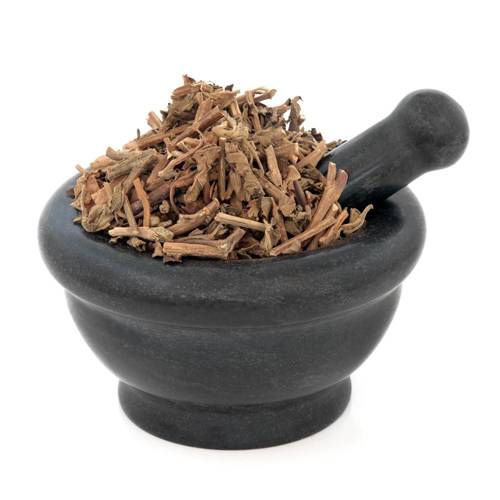 Huo Xiang (Korean mint) as TCM ingredient