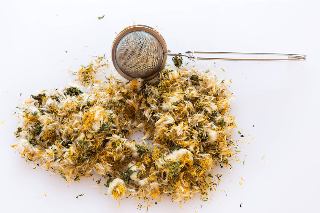 Pu Gong Ying (Dandelions) as TCM ingredient