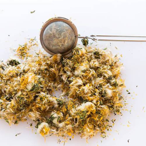 Pu Gong Ying (Dandelions) as TCM ingredient