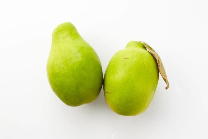 Mu Gua (Flowering quince) plant