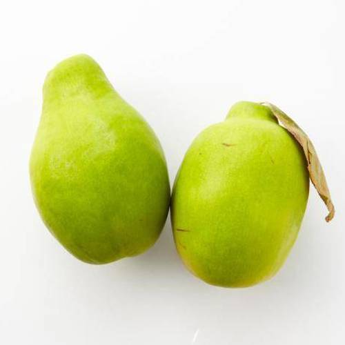 Mu Gua (Flowering quince) plant