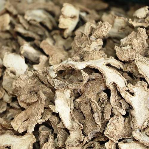 Gan Jiang (Dried ginger) plant