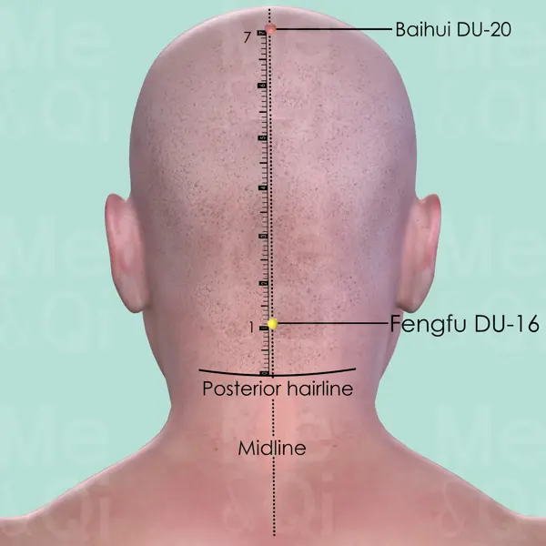 Fengfu DU-16 location