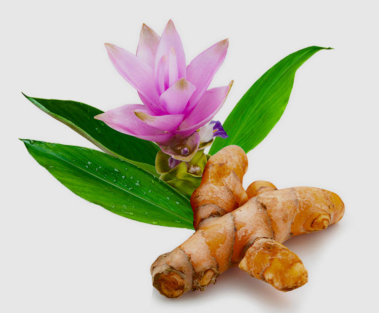 Jiang Huang (Turmeric) as TCM ingredient