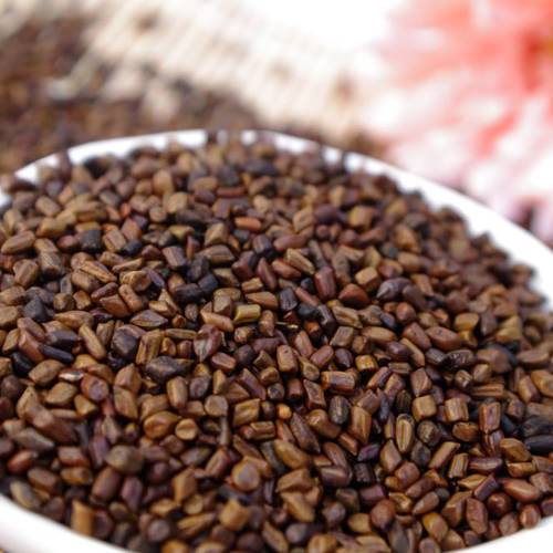 Jue Ming Zi (Cassia seeds) as TCM ingredient