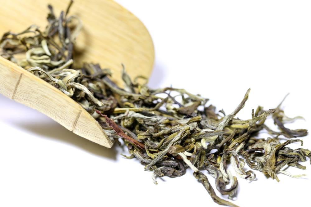 Mo Li Hua (Jasmine flowers) as TCM ingredient