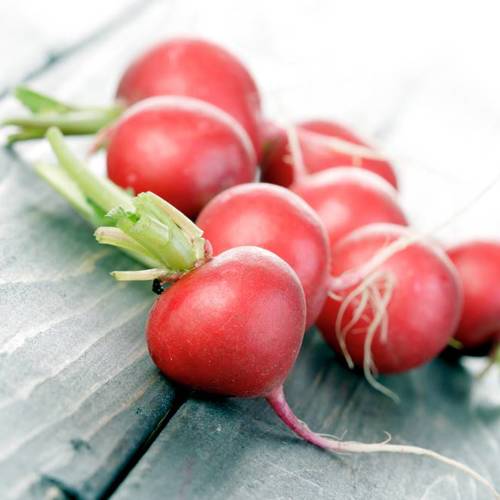 Lai Fu Zi (Radish seeds) plant