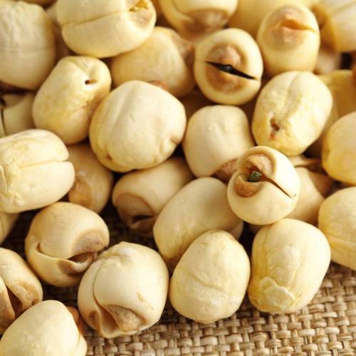 Lian Zi (Lotus seeds) as TCM ingredient
