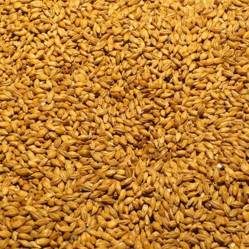 Mai Ya (Malt) as TCM ingredient