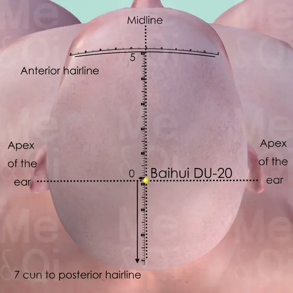 Baihui DU-20 location