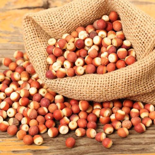 Qian Shi (Foxnut seeds) as TCM ingredient