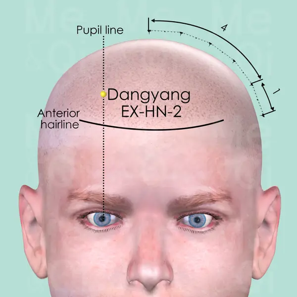 Dangyang EX-HN-2 location