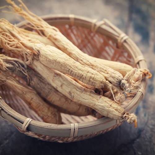 Ren Shen (Ginseng) as TCM ingredient