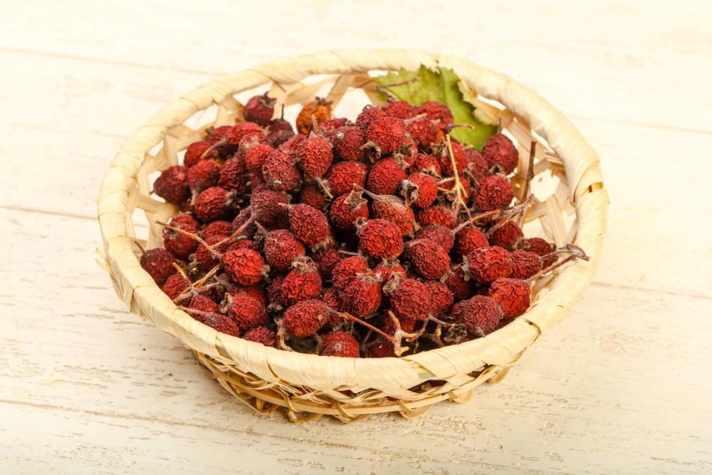 Shan Zha (Hawthorn berries) as TCM ingredient