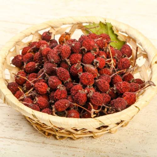Shan Zha (Hawthorn berries) as TCM ingredient