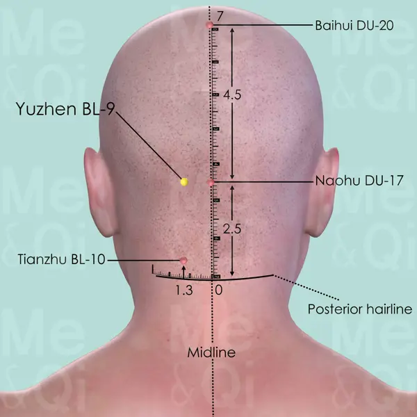 Yuzhen BL-9 location