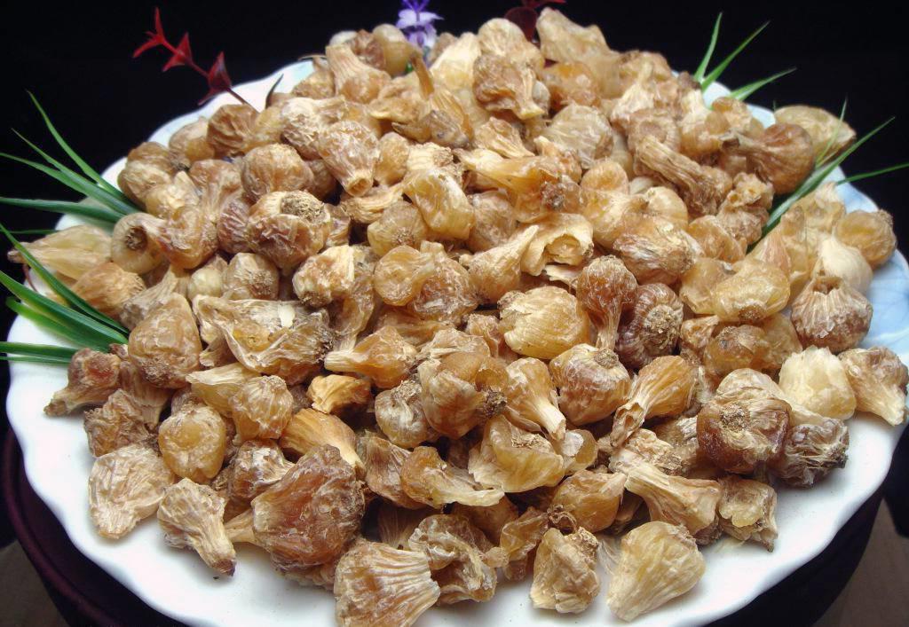 Xie Bai (Long-stamen onion bulbs) as TCM ingredient