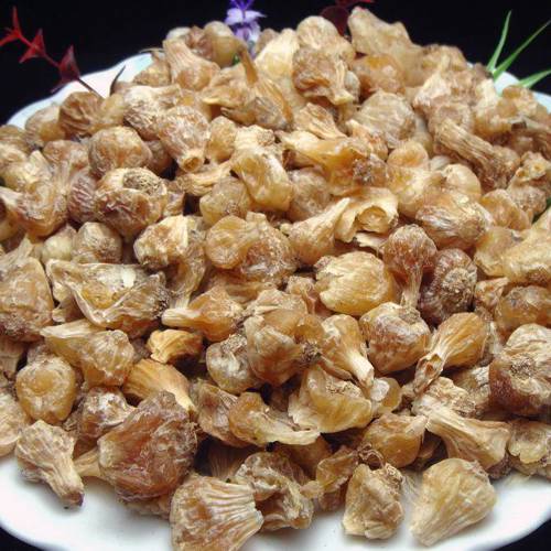Xie Bai (Long-stamen onion bulbs) as TCM ingredient
