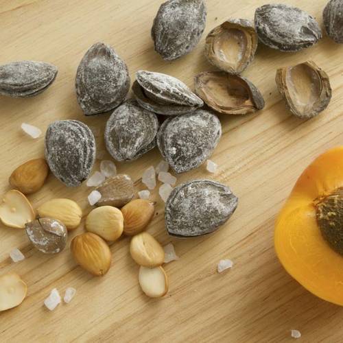 Xing Ren (Apricot seeds) plant