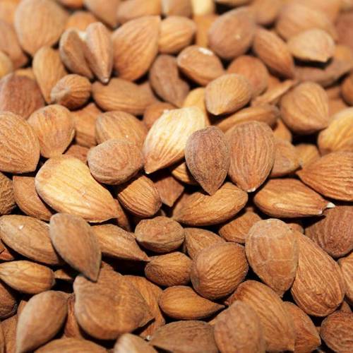 Xing Ren (Apricot seeds) as TCM ingredient