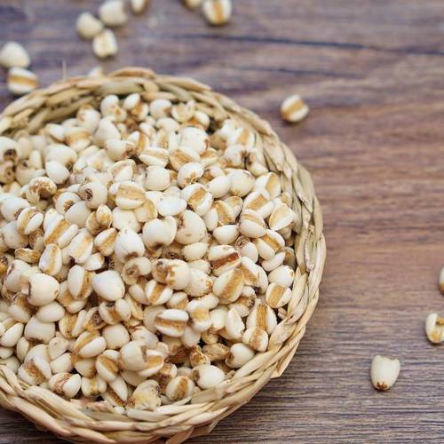 Yi Yi Ren (Job's tears) as TCM ingredient