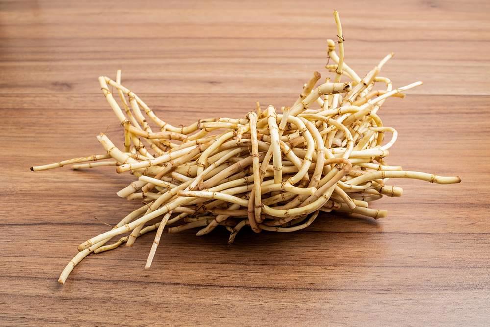 Yu Xing Cao (Houttuynia) as TCM ingredient