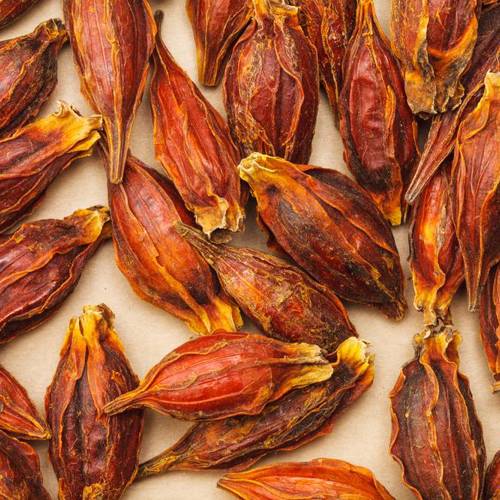 Zhi Zi (Cape jasmine fruits) as TCM ingredient