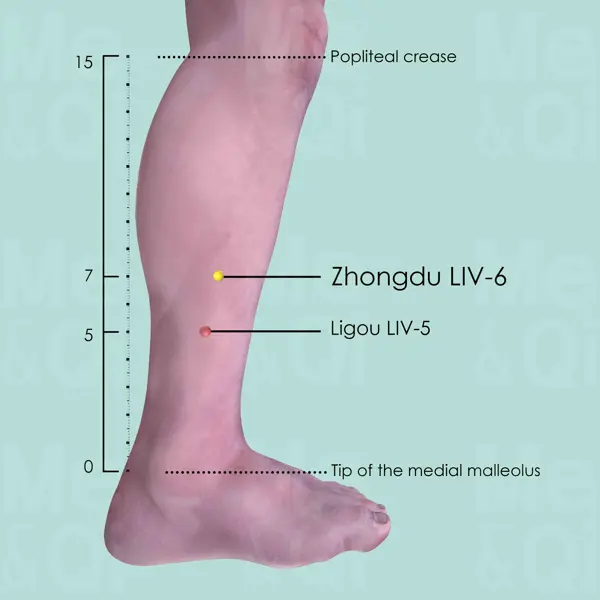 Zhongdu LR-6 location