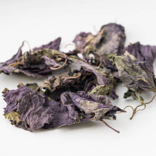 Zi Su Ye (Perilla leaves) as TCM ingredient