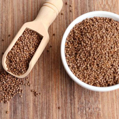 Zi Su Zi (Perilla seeds) as TCM ingredient