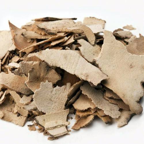 Tu Fu Ling (Smilax glabra roots) as TCM ingredient