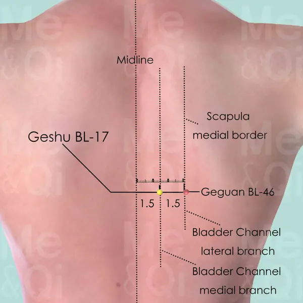 Geshu BL-17 location