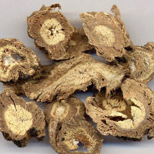 Du Huo (Pubescent angelica roots) as TCM ingredient