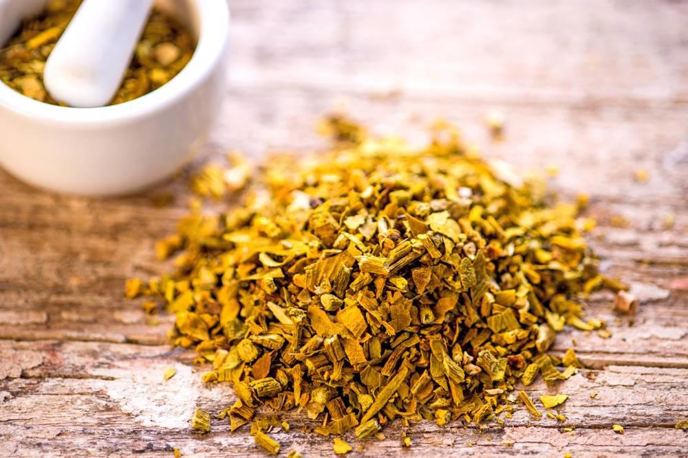 Hu Ji Sheng (Mistletoe) as TCM ingredient