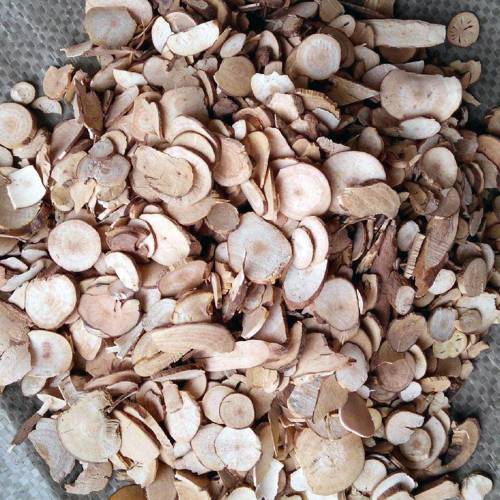 Wu Yao (Lindera roots) as TCM ingredient