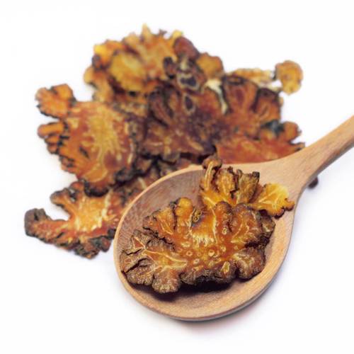 Chuan Xiong (Szechuan lovage roots) as TCM ingredient