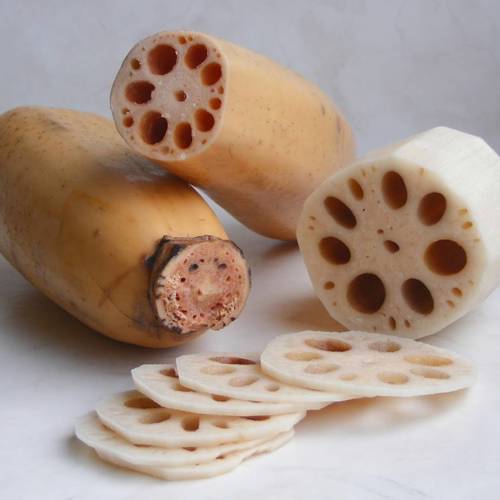 Ou Jie (Lotus roots) plant