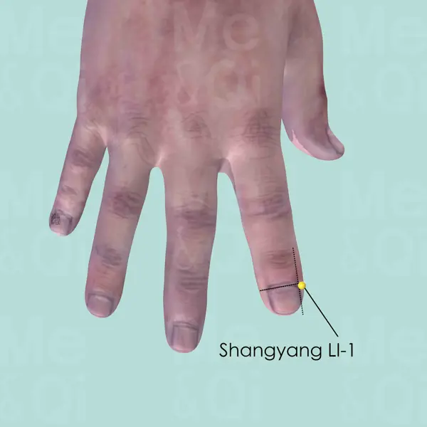 Shangyang LI-1 location